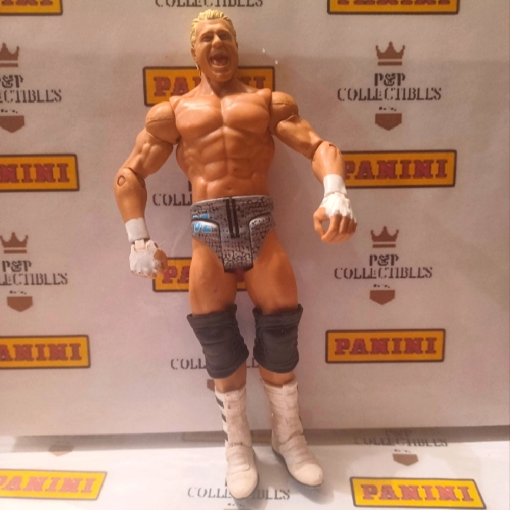Dolph Ziggler 🔥 WWE Wrestling Action Figure Toy